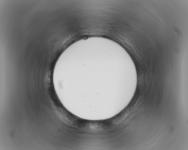 X0000111500264200908111253