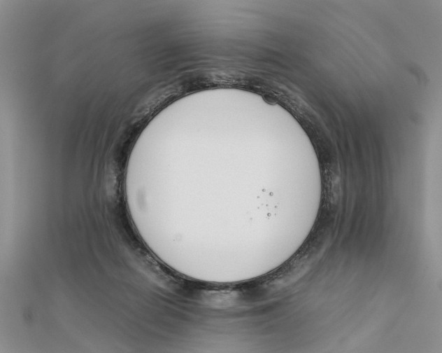 X0000111500266200908111253