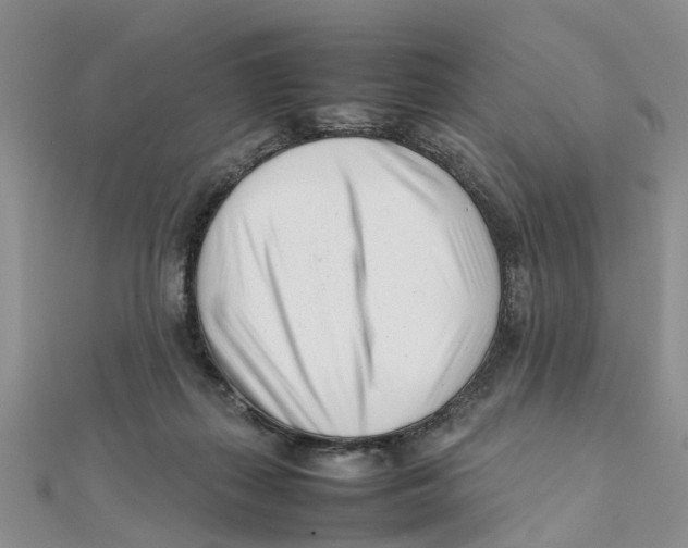 X0000111500267200908111253