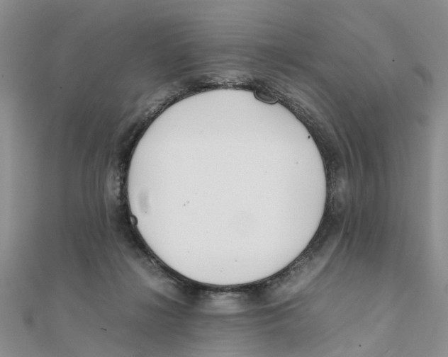 X0000111500268200908111253