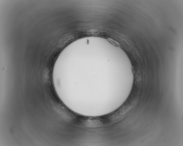 X0000111500270200908111253