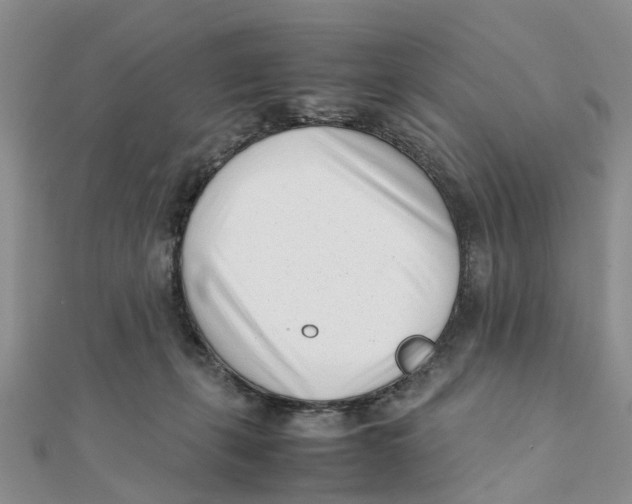 X0000111500271200908111253