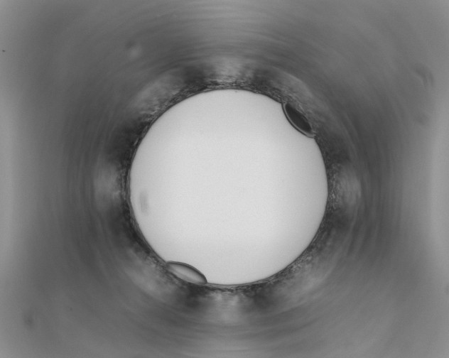 X0000111500272200908111253