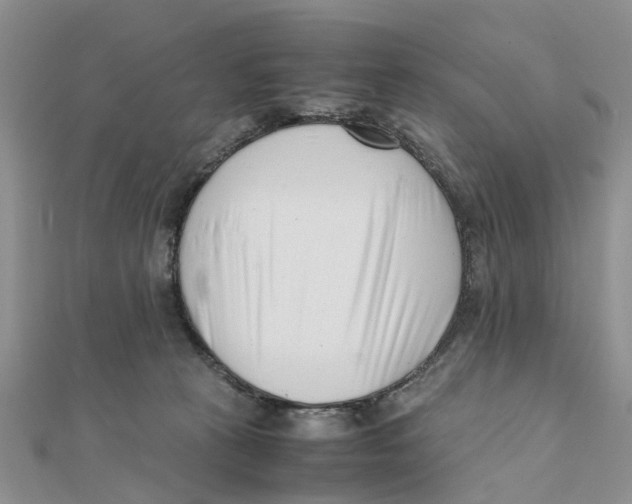 X0000111500273200908111253