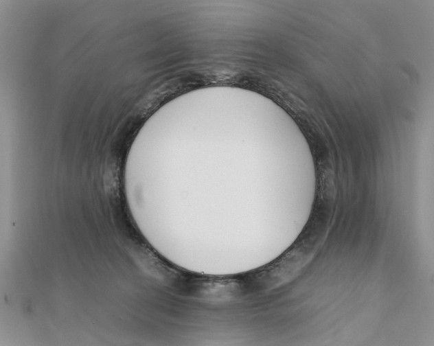 X0000111500274200908111253