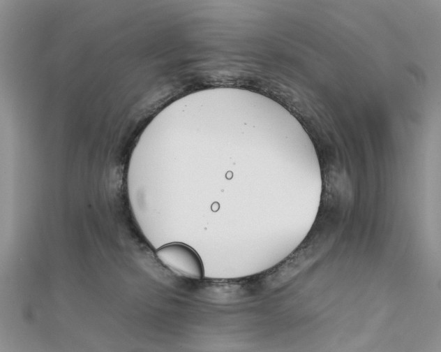 X0000111500278200908111253