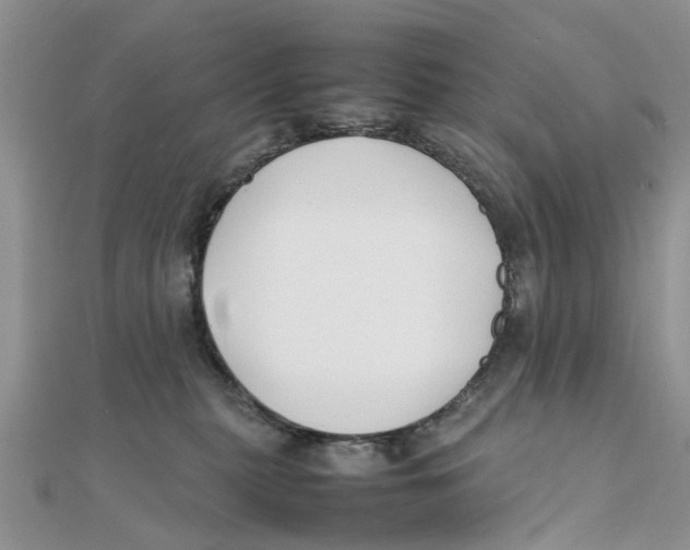 X0000111500279200908111253