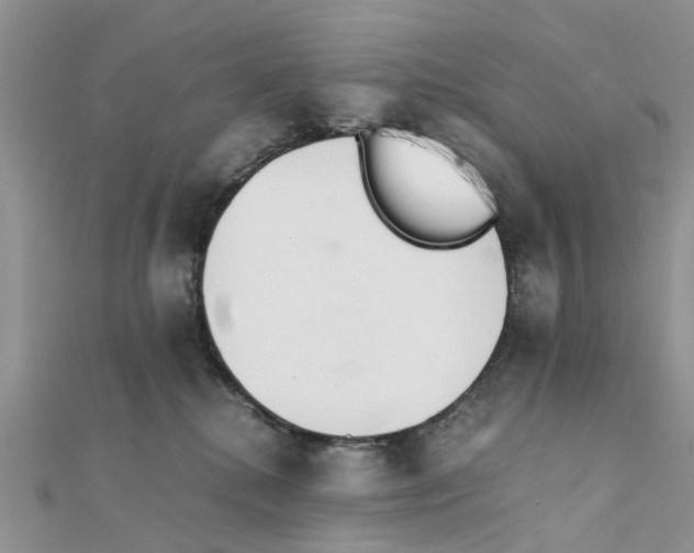 X0000111500280200908111253