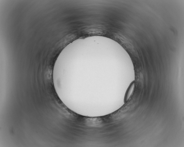 X0000111500281200908111253