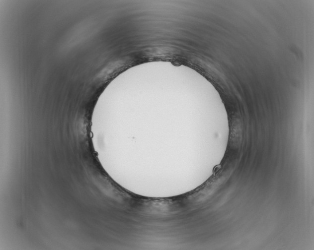 X0000111500282200908111253