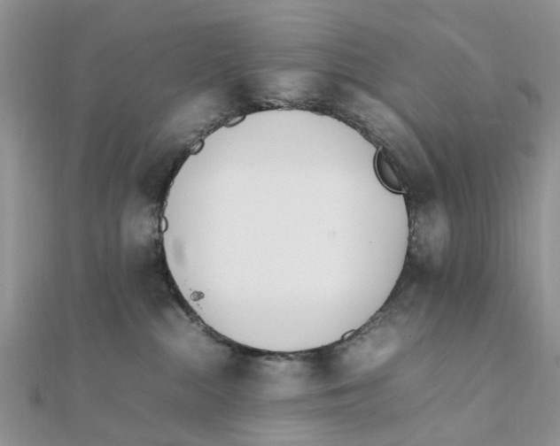 X0000111500284200908111253