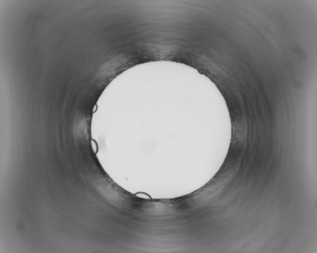 X0000111500286200908111253