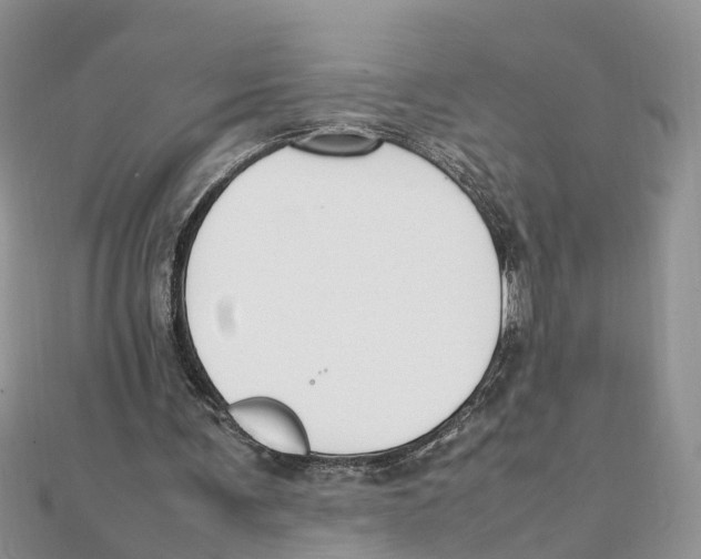 X0000111500291200908111253