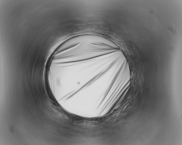 X0000111500292200908111253