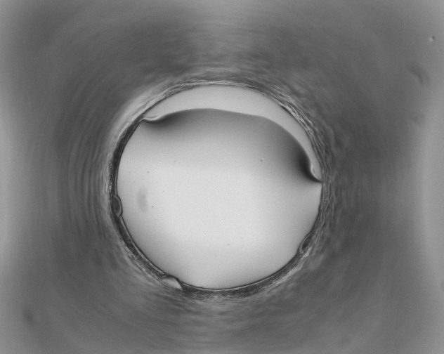 X0000111500293200908111253