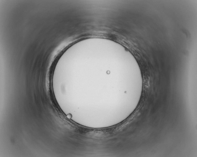 X0000111500294200908111253