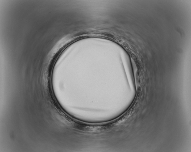 X0000111500295200908111253