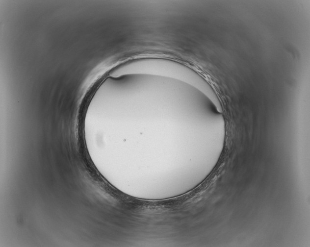 X0000111500296200908111253