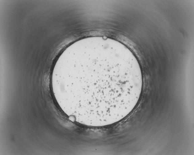 X0000111500297200908111253