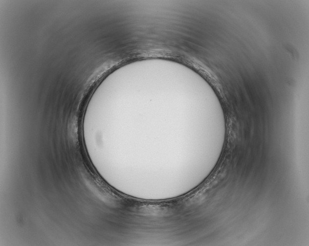 X0000111500298200908111252