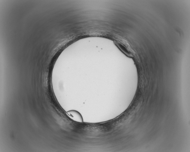 X0000111500299200908111252