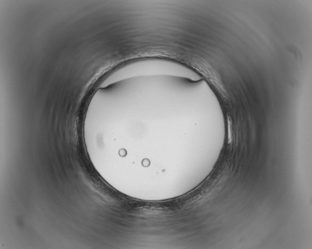 X0000111500300200908111252