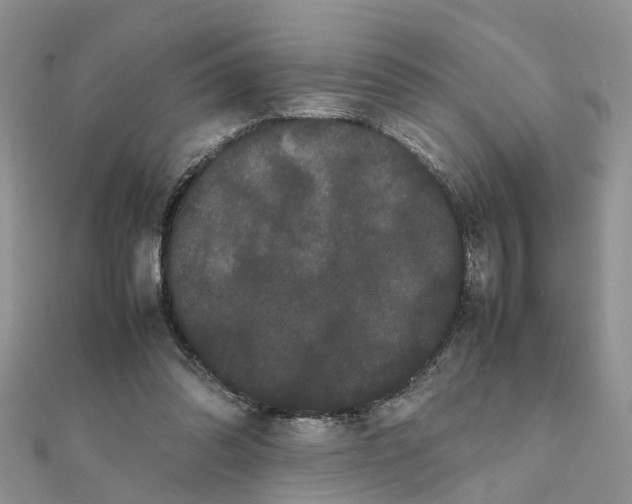 X0000111500302200908111252