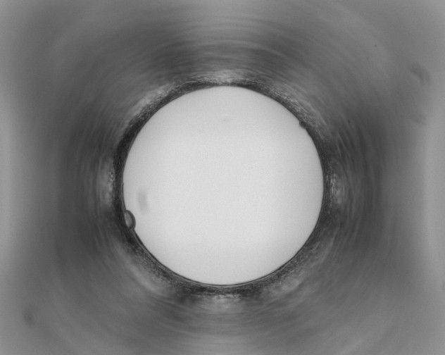 X0000111500304200908111252