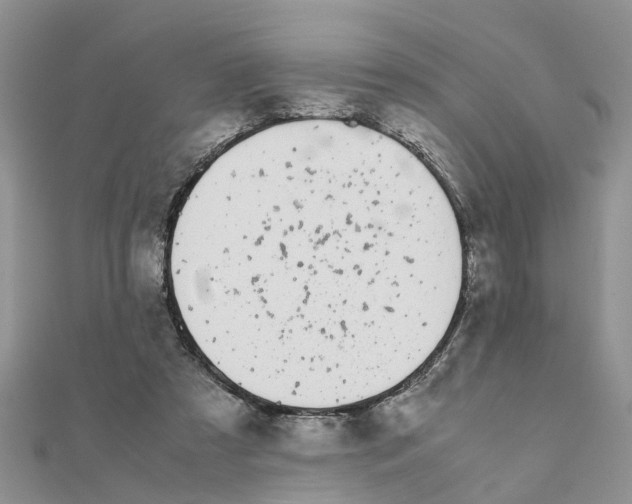 X0000111500305200908111252