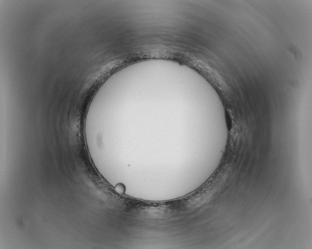 X0000111500306200908111252