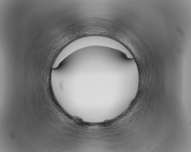 X0000111500309200908111252