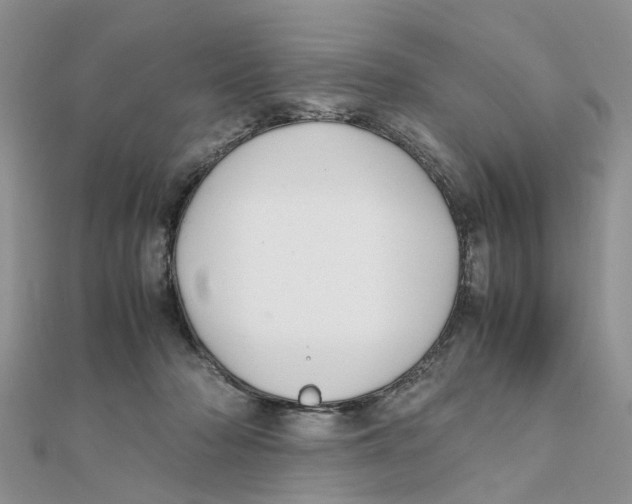 X0000111500318200908111252