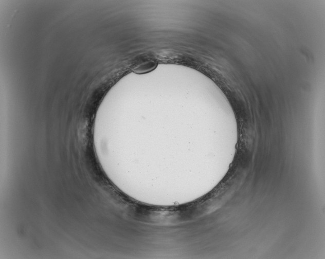 X0000111500319200908111252