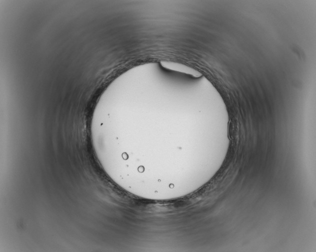 X0000111500320200908111252