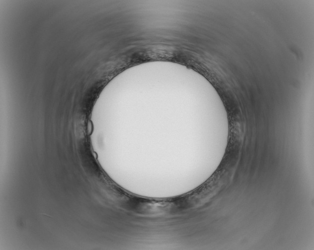 X0000111500323200908111252