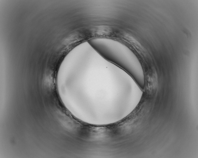 X0000111500324200908111252