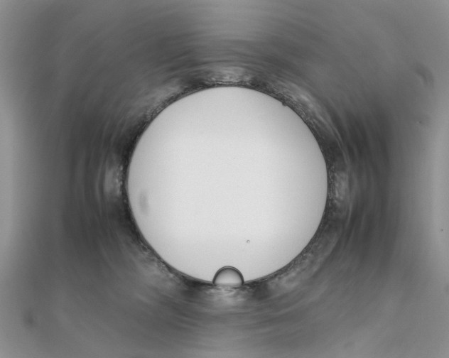 X0000111500326200908111252