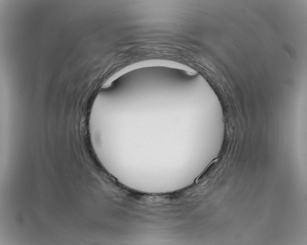 X0000111500327200908111252