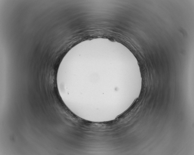 X0000111500328200908111252