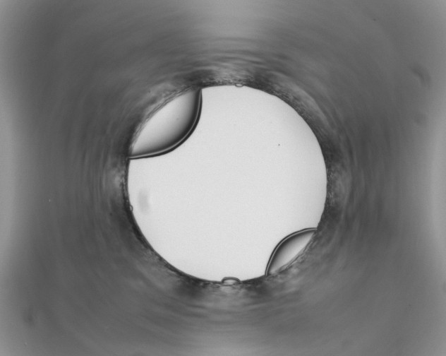 X0000111500329200908111252