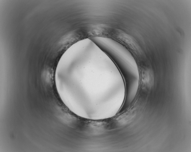 X0000111500332200908111252