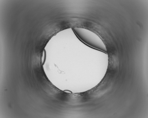 X0000111500333200908111252