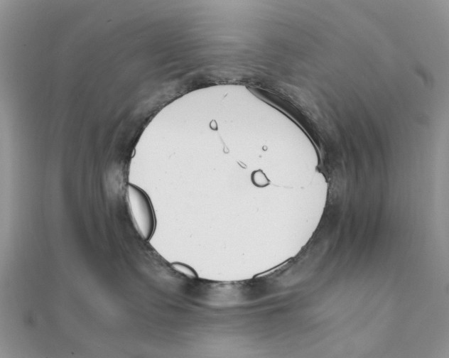 X0000111500335200908111252