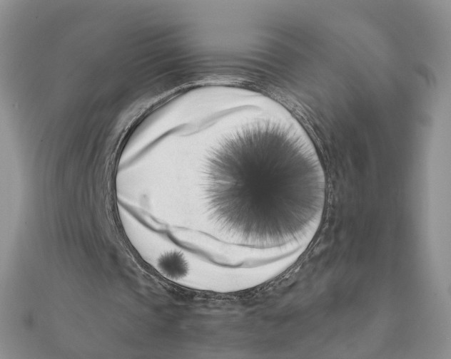 X0000111500337200908111251