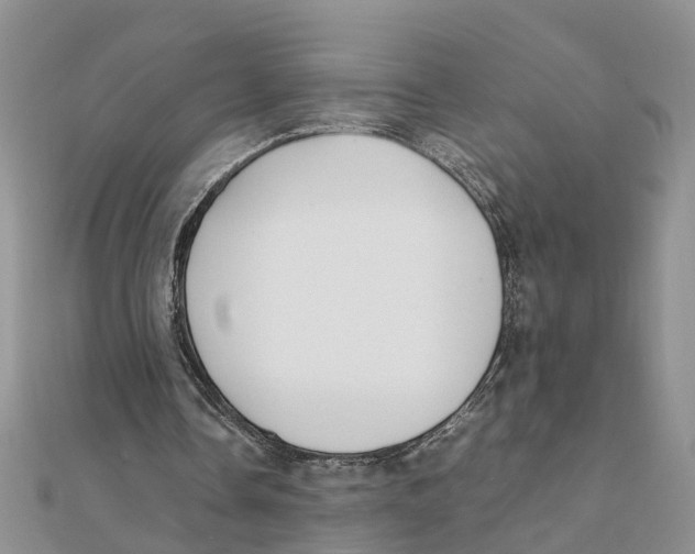 X0000111500338200908111251