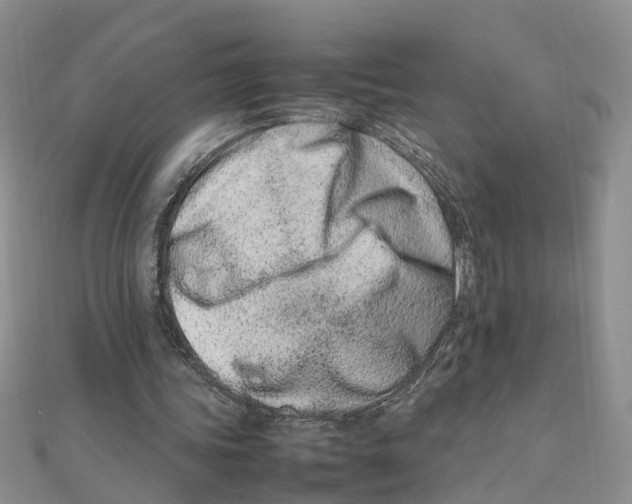 X0000111500339200908111251