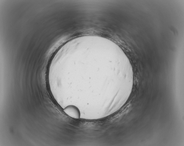 X0000111500341200908111251