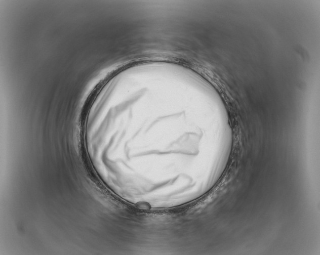 X0000111500342200908111251