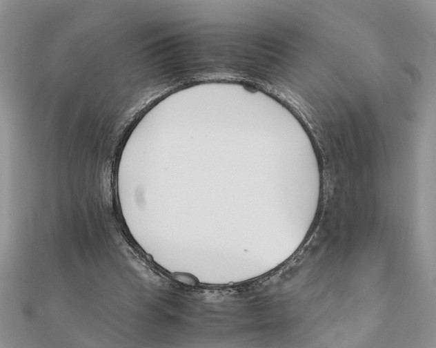 X0000111500345200908111251