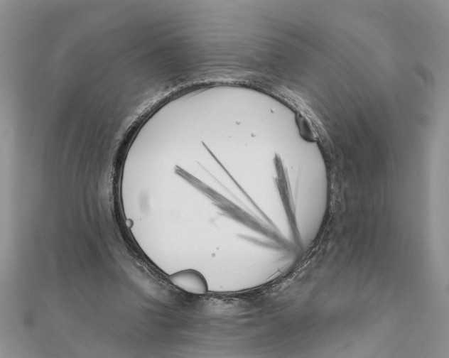 X0000111500346200908111251